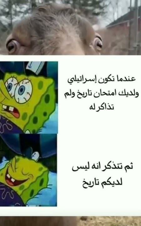 ميمز🤣🤣🤣 Youtube