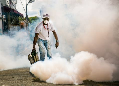 Fotos Presidenciard Jornada De Fumigaci N Contra El Dengue