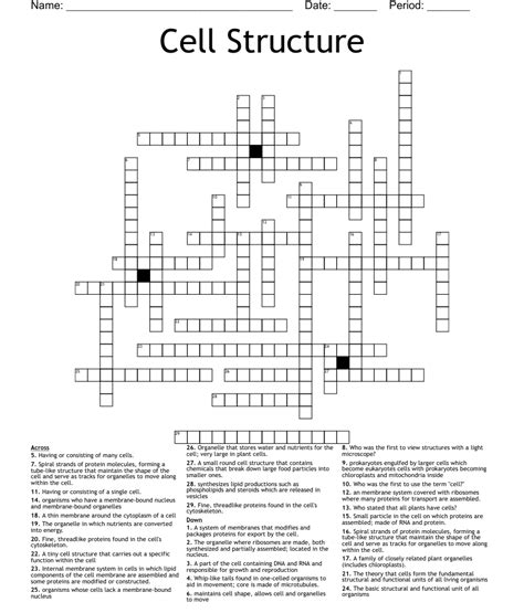 Cell Structure Crossword Wordmint