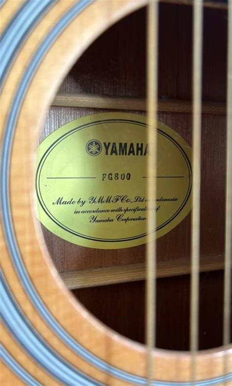 Yamaha FG800 Acoustic Guitar, Hobbies & Toys, Music & Media, Musical Instruments on Carousell