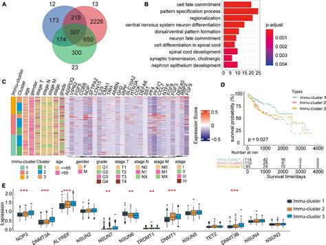 Frontiers Uncovering The Association Between M C Regulator Mediated