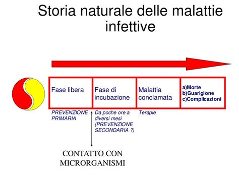 Ppt Prevenzione Delle Malattie E Promozione Della Salute Powerpoint