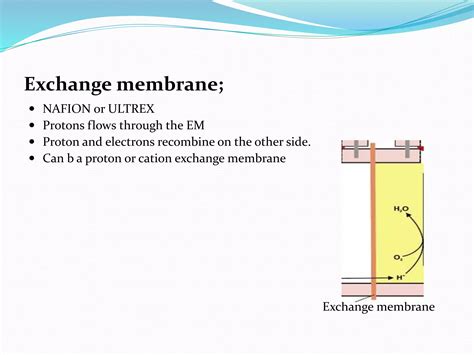 Microbial Fuel Cells Ppt Ppt