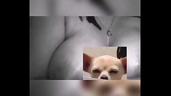 Like Y Video Cogiendo Con Esta Linda Perrita XVIDEOS