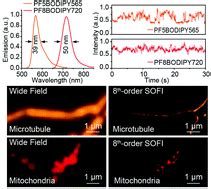 Narrow Band Polymer Dots With Pronounced Fluorescence Fluctuations For