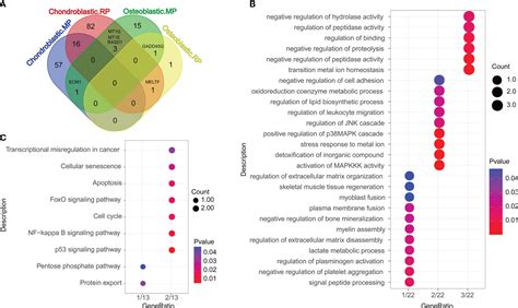 Frontiers Identification Of Cell Subpopulations And Interactive