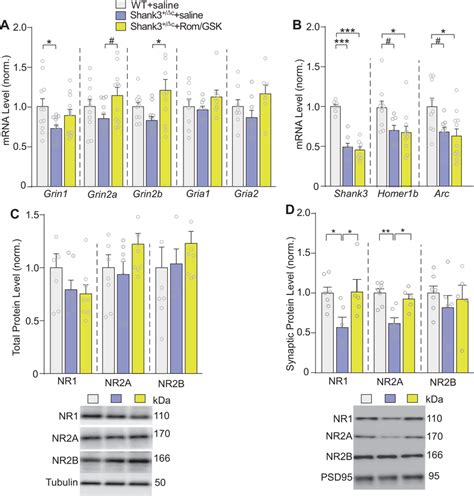 Treatment With Romidepsin And GSK LSD1 Induces Transcriptional