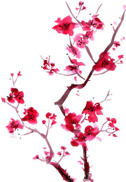 Plum Blossom Illustrations Royalty Free Vector Graphics And Clip Art