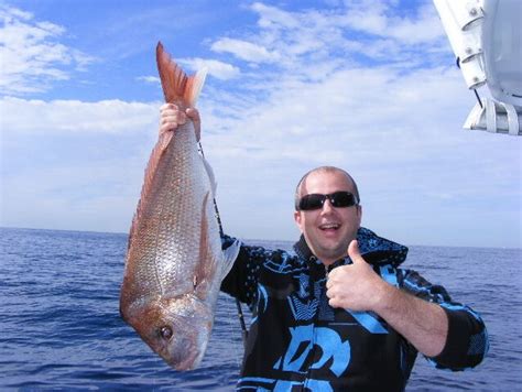 Gold Coast Fishing Charters Deep Sea Fishing Main Beach Qld