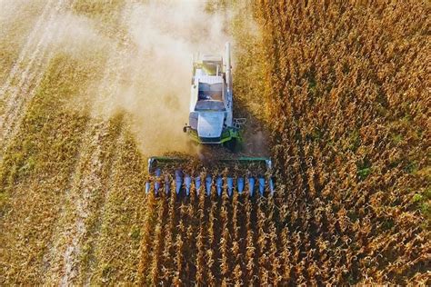 Aumentaron Los Precios De Los Alimentos En El Mundo Por Tercer Mes