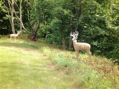 New 3D Archery Targets | FirstLightGear