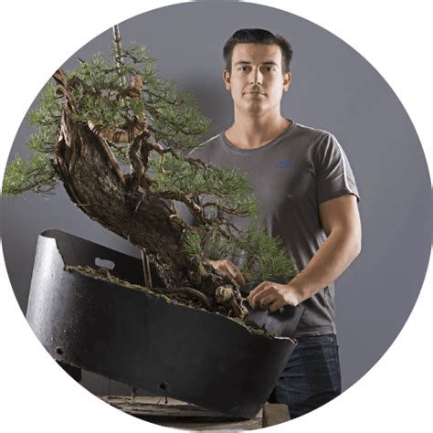 Yannick Kiggen Famed Belgian Bonsai Artist Will Be Our Guest Presenter