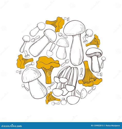 Hand Drawn Mushrooms Vector Sketch Illustration Stock Vector