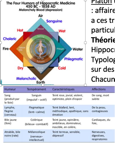 Personnalit D Finitions Perspectives Historiques Flashcards