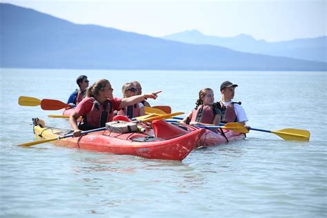 Mendenhall Glacier View Sea Kayaking