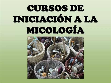 Ppt Cursos De Iniciaci N A La Micolog A Powerpoint Presentation Free