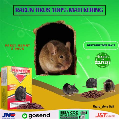 Jual PRODUK RAMTUS RACUN TIKUS SUPER AMPUH MEMBASMI KOLONI TIKUS ALAT