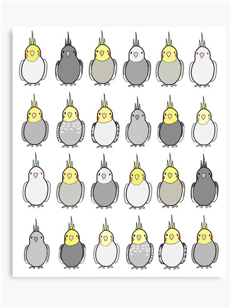 Cockatiel Color Chart: A Visual Reference of Charts | Chart Master