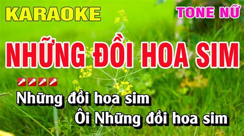 Karaoke Nh Ng I Hoa Sim Tone N Nh C S Ng Ho Ng Lu N Youtube