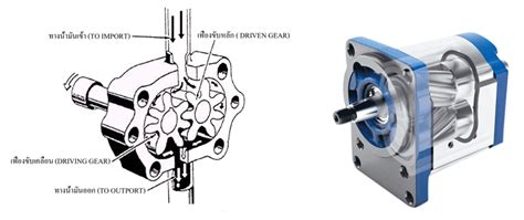 เกยวกบ ไฮดรอลก HYDRAULIC