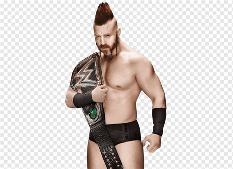 Sheamus WWE Championship Campeonato Mundial De Pesos Pesados Superstars