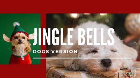 Dogs Sing Jingle Bells Dogs Versions Youtube