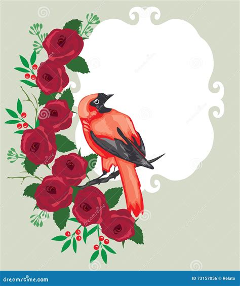 Floral Frame With Birds Stock Vector Illustration Of Summer