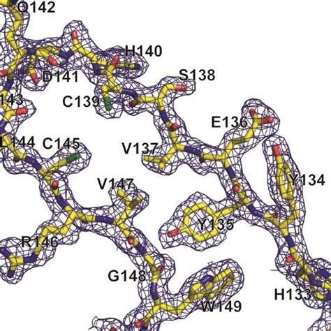 Figure S5 A Fully Refined 2fo Fc Electron Density Map Contoured At 1σ