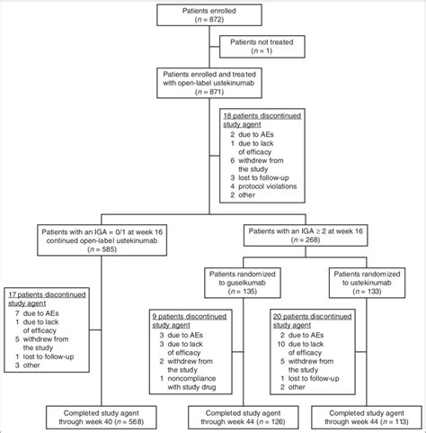 Patient Disposition Ae Adverse Event Iga Investigators Global