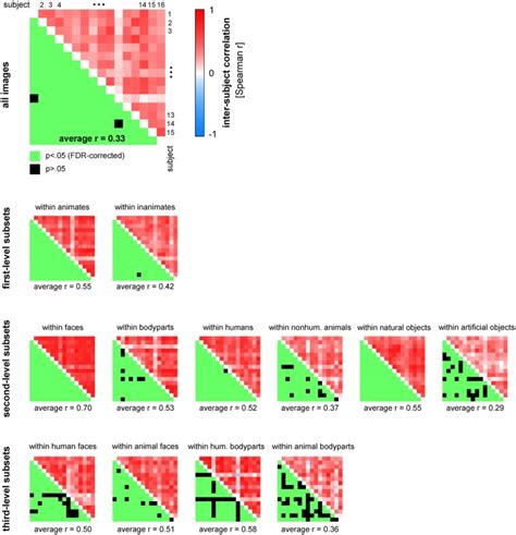 Human Similarity Judgments Show Substantial Consistency Across