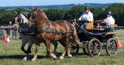 2022 23 Concours départemental du cheval breton ESPRITRAIT