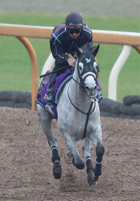 【東京大賞典】4連覇を目指すオメガパフュームが坂路で鋭い伸び スポーツ報知