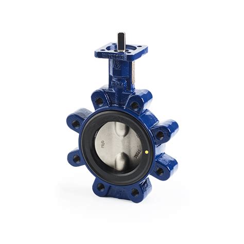 Keystone Gr Series Butterfly Valves Valve Process Solutions