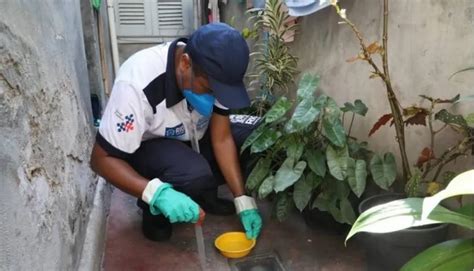 Dengue No Rio Secretaria De Sa De Anuncia Fim Da Epidemia Na Capital