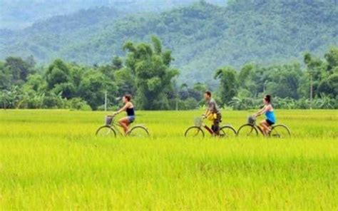 Ninh Binh Day Tour Hoa Lu Tam Coc Cycling Tour From Hanoi Getyourguide