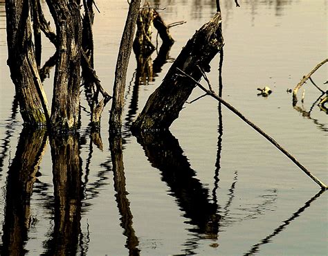 Wallpaper Water Reflection Sky Branch River Greek Photographer