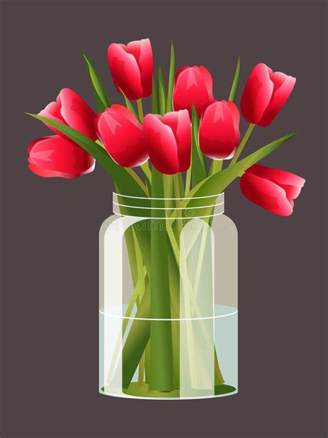 Bouquet Of Red Tulips Tied Together In A Glass Jar Isolated On Black