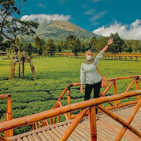 Info Wisata Alam Kebun Teh Sikatok Rumah Sae