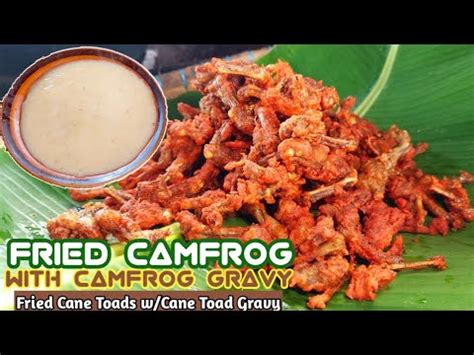 Fried Karag With Karag Gravy Fried Cane Toad With Cane Toad Gravy