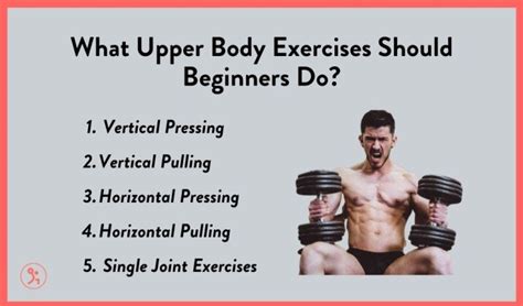 Best Upper Body Weightlifting Exercises Eoua Blog