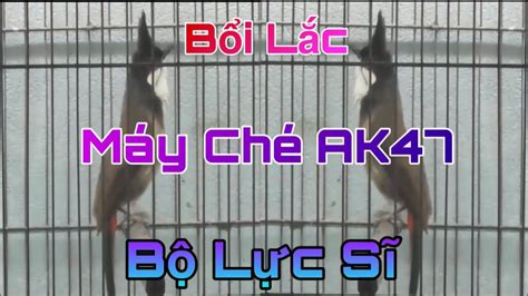 Siêu Phẩm Bổi Lắc Máy Ché Như AK47 Cọp Bản Bộ Siêu Mẫu Cầu Cánh Tít