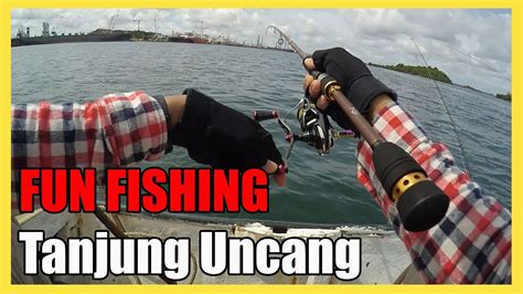 Mancing Cumi Di Perairan Tanjung Uncang Panen Amberjack Kw 1000 Youtube