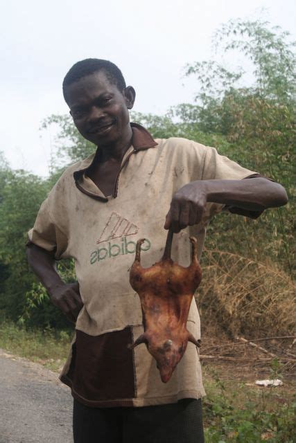 Bushmeat In Africa