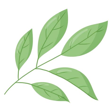 Premium Vector Twig With Green Leaves Vector Isolated Cartoon