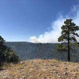 Photos Of Sycamore Rim Trail Arizona Alltrails