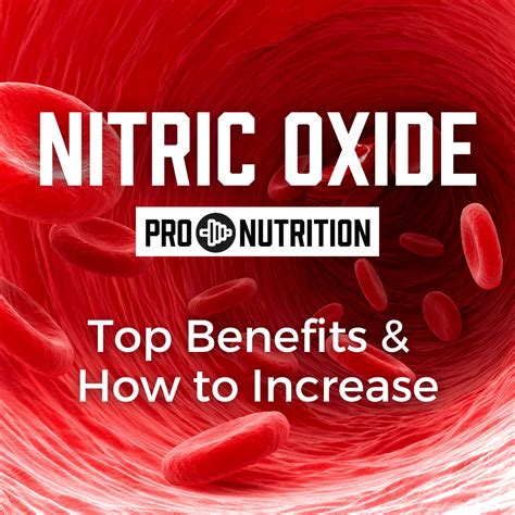 Top Benefits Of Nitric Oxide And How To Increase Pro Nutrition Llc