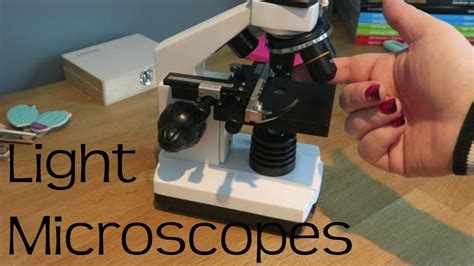 Light Microscopes Gcse Biology And Combined Science Youtube