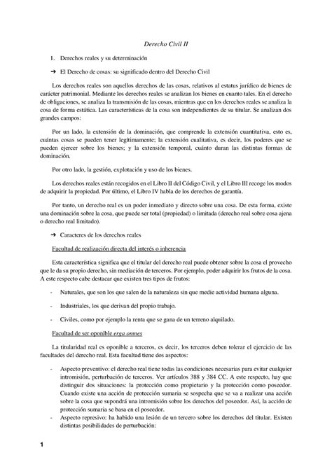 Apuntes Civil Derecho Civil Ii Derechos Reales Y Su Determinación El