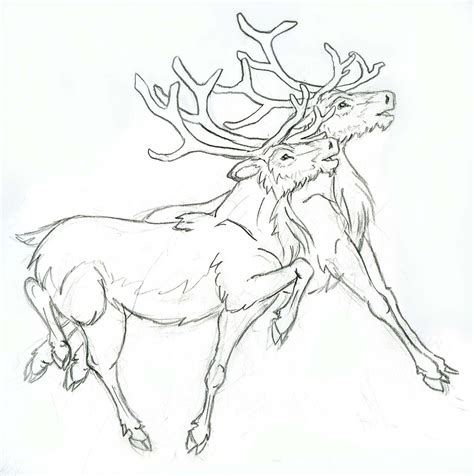 Reindeer by Lizzy23 on DeviantArt