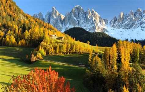 Italia Otoño Montañas Bosques Herbazal Pintura del paisaje Dolomites ...